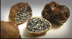 truffe